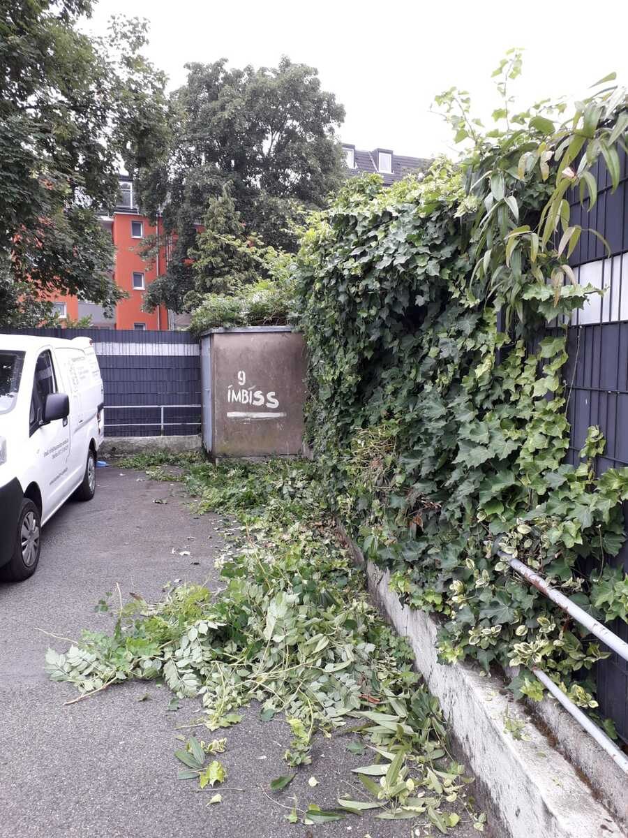 Abgeschnittener Grünschnitt auf einem gepflasterten Außenbereich vor einem Gartenzaun